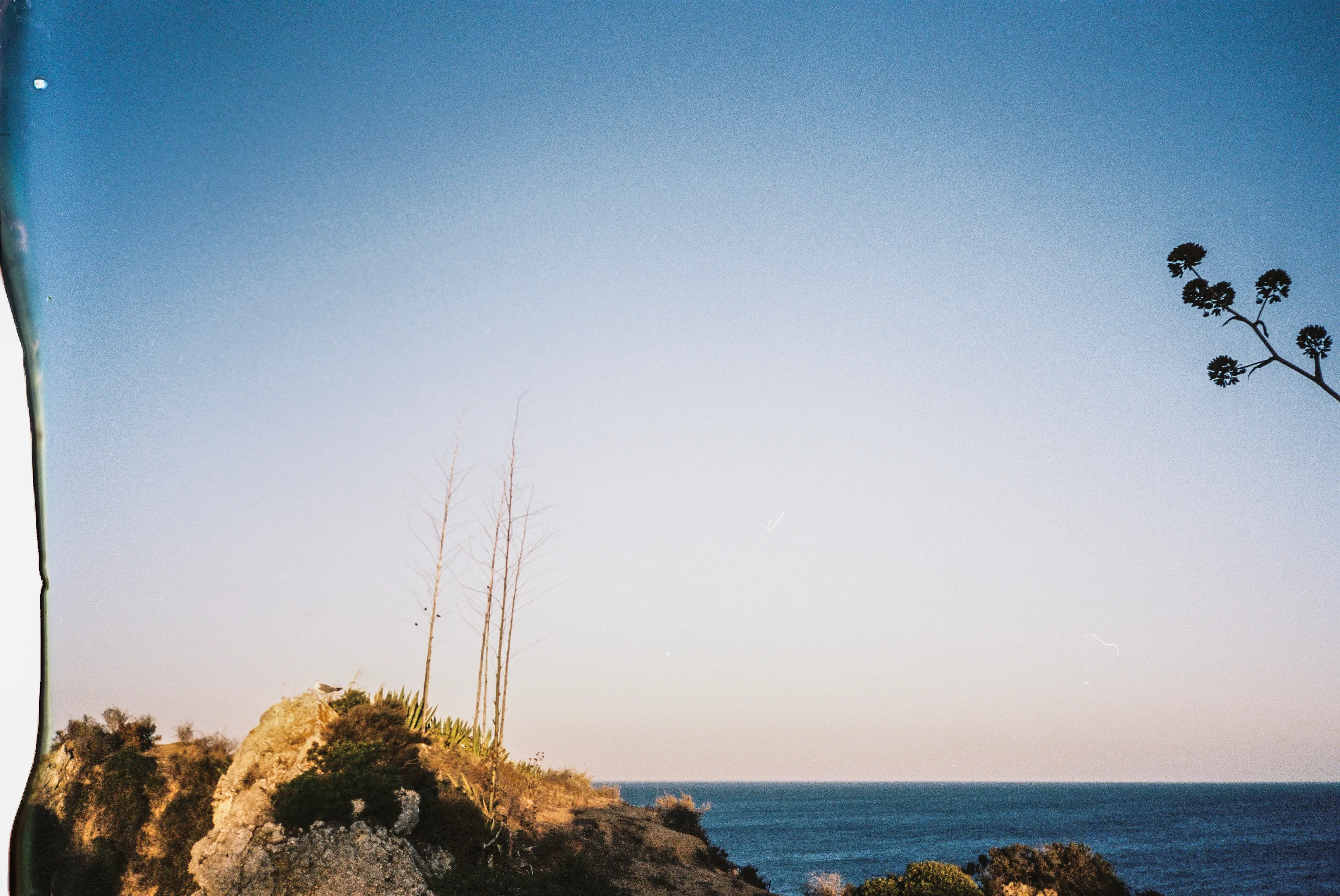 From the series "Portraits"