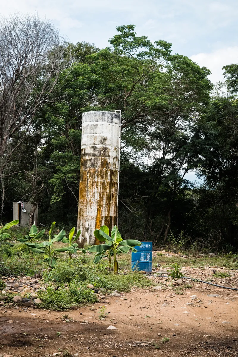 A weathered concrete water tank standing among trees on a returned farm
