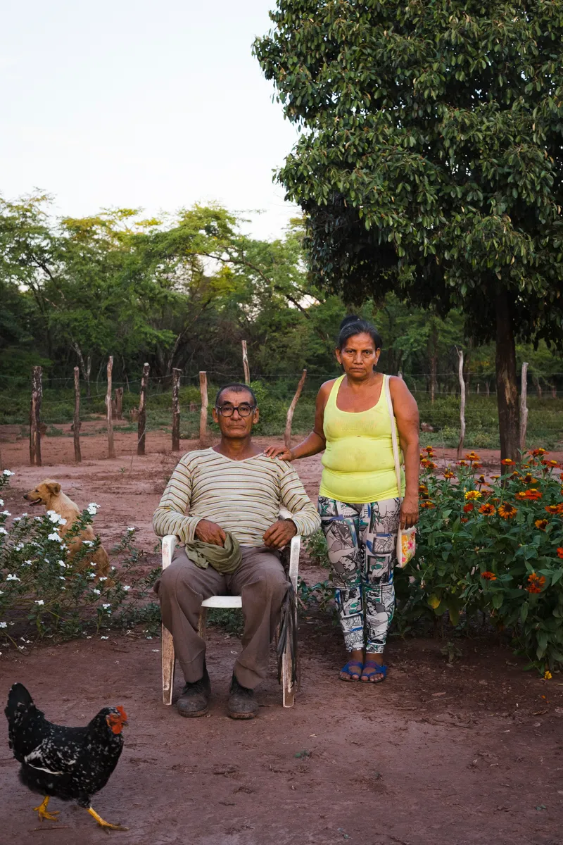 A couple in their garden at dusk, a dog and hen nearby