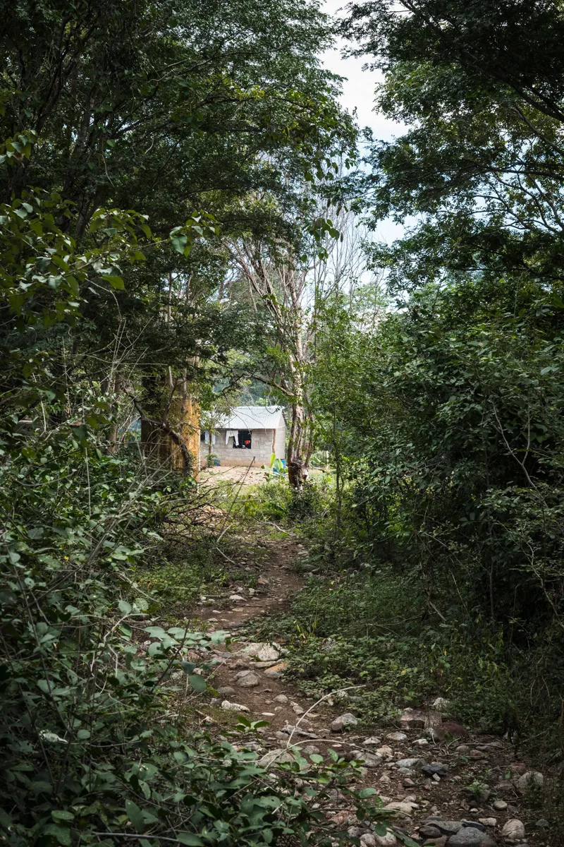 A stony path through dense bush leading back to a farmhouse