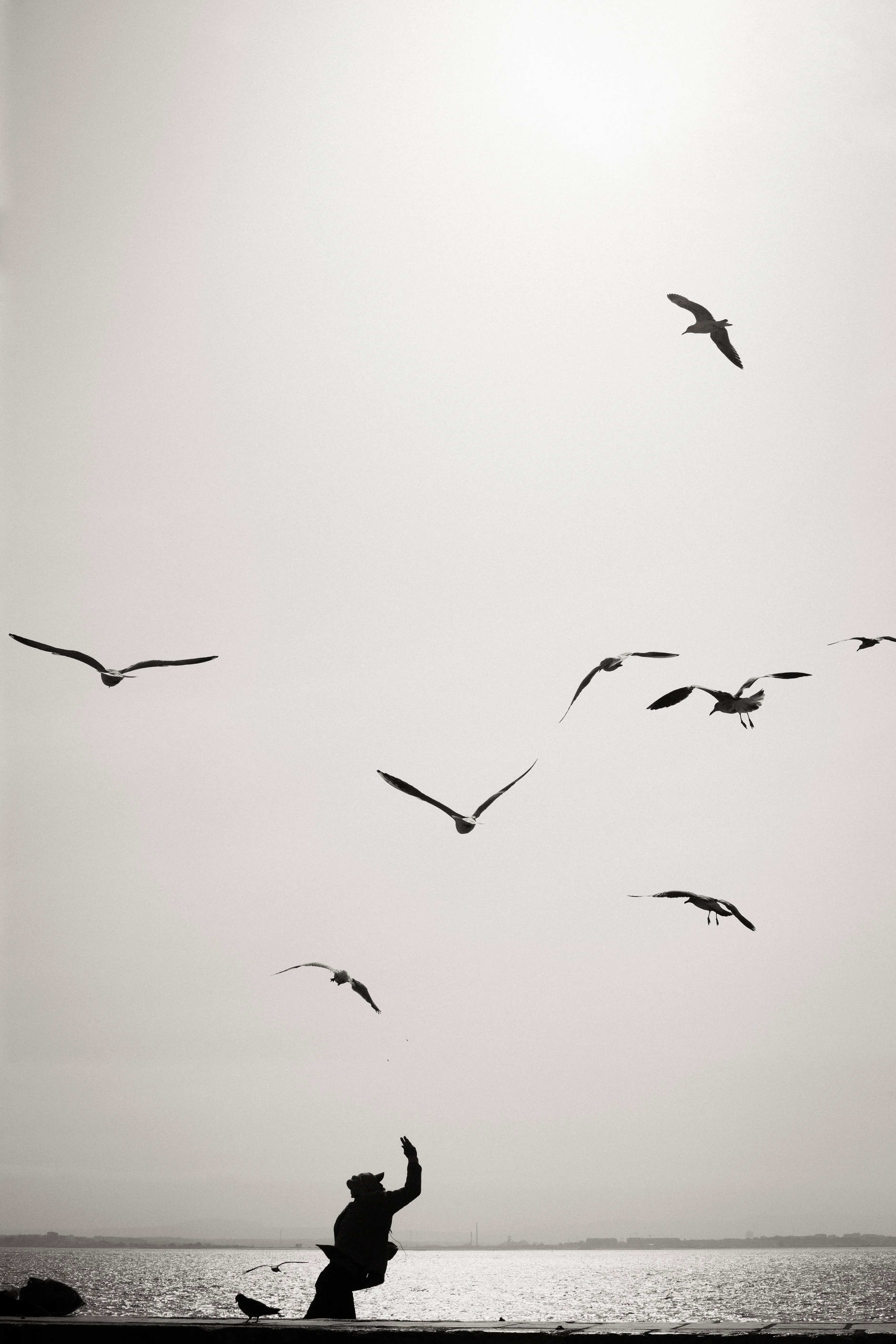 From the series "Lisboa"