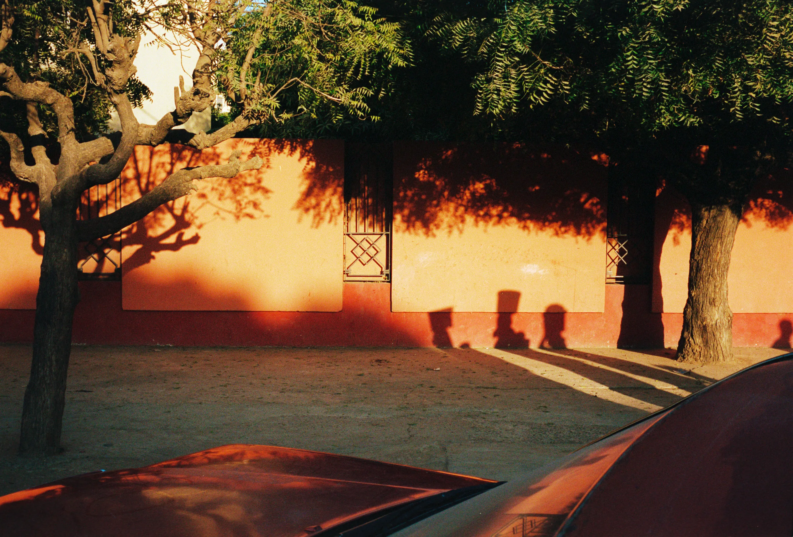 From the series "Senegal"