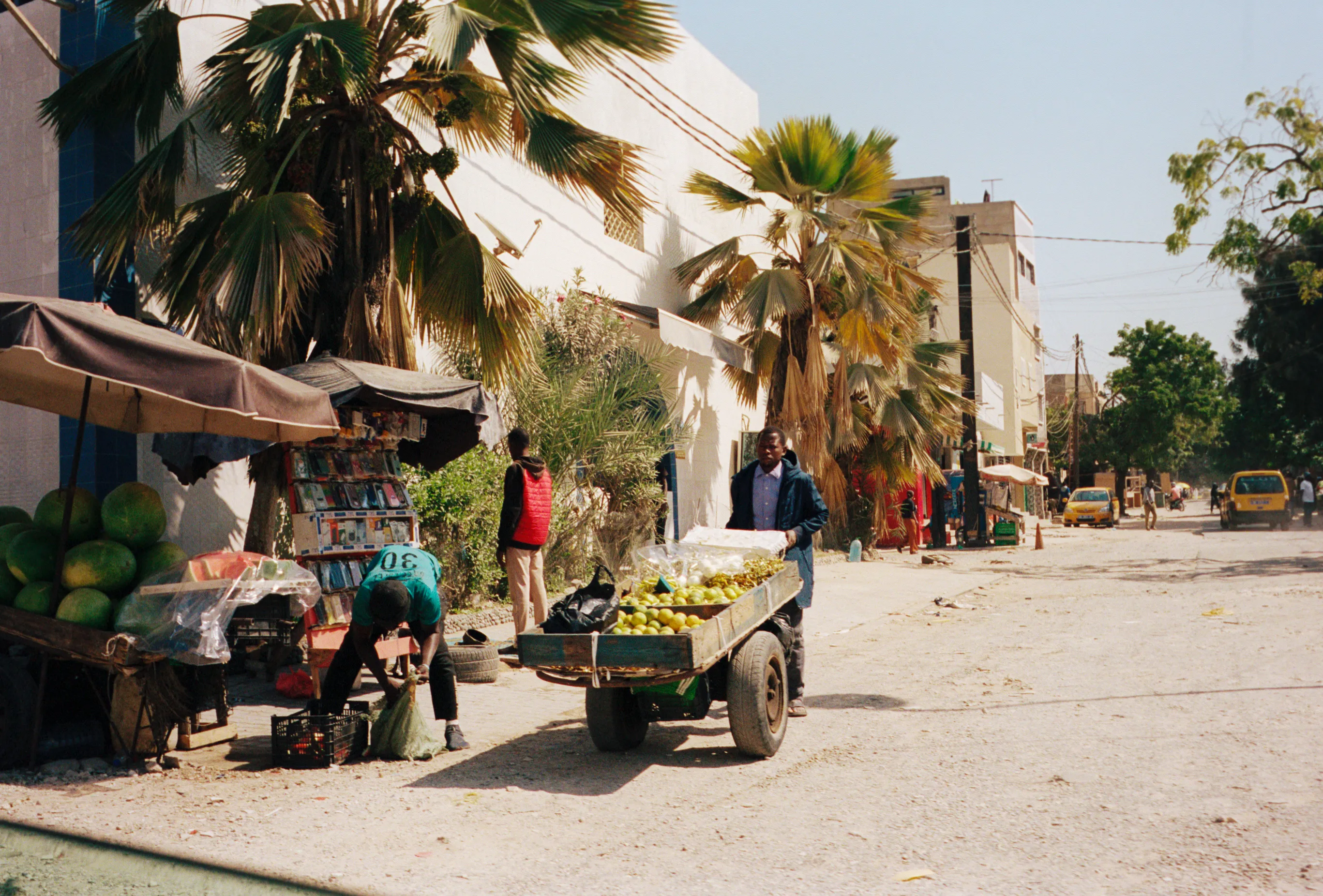 From the series "Senegal"