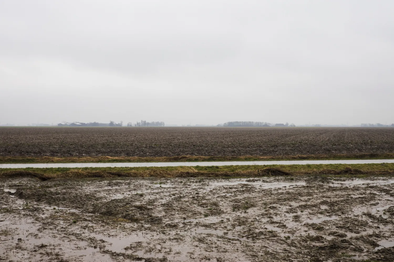 From the series "Vom Affen und vom Pfau"