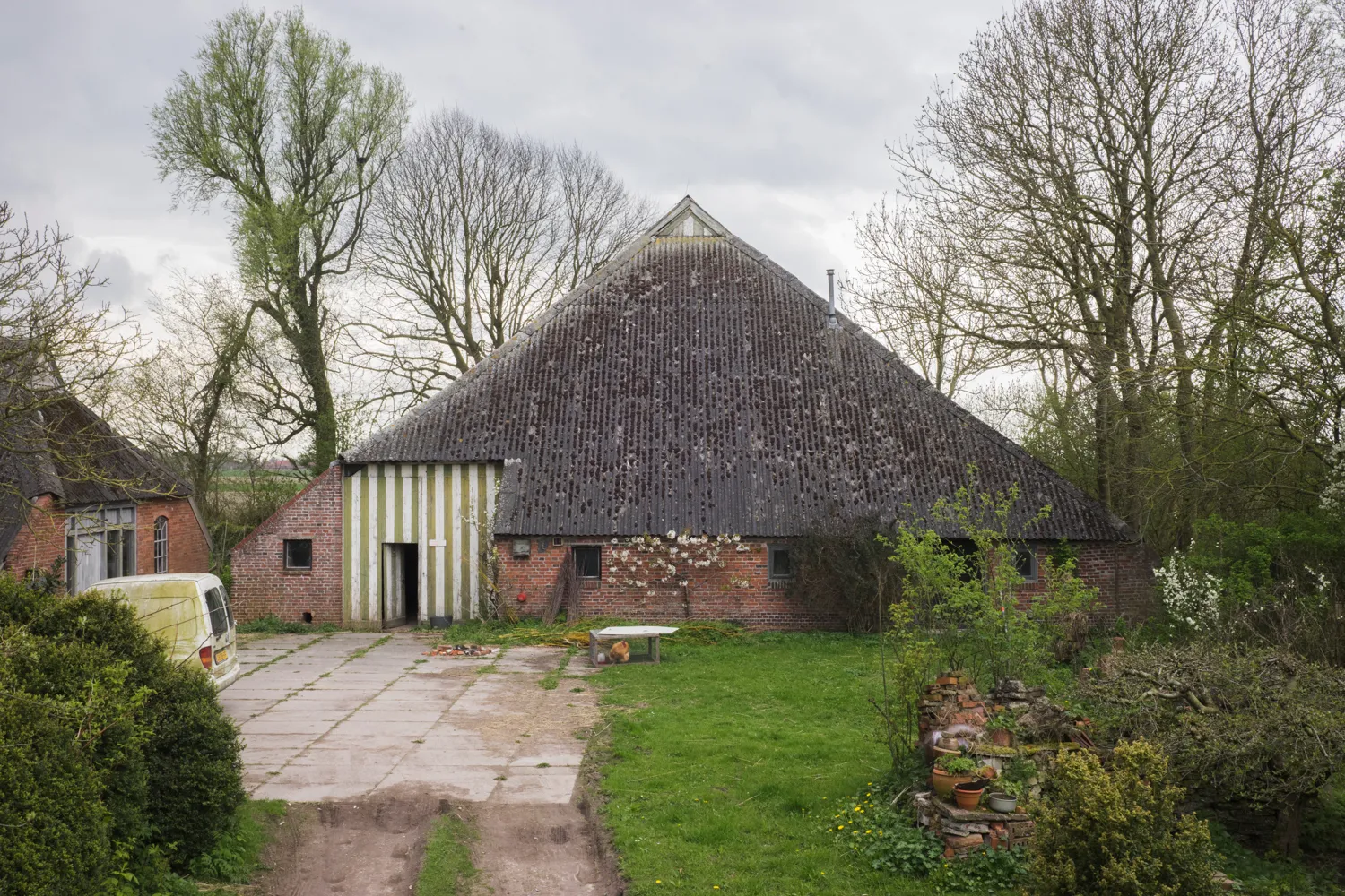 From the series "Vom Affen und vom Pfau"