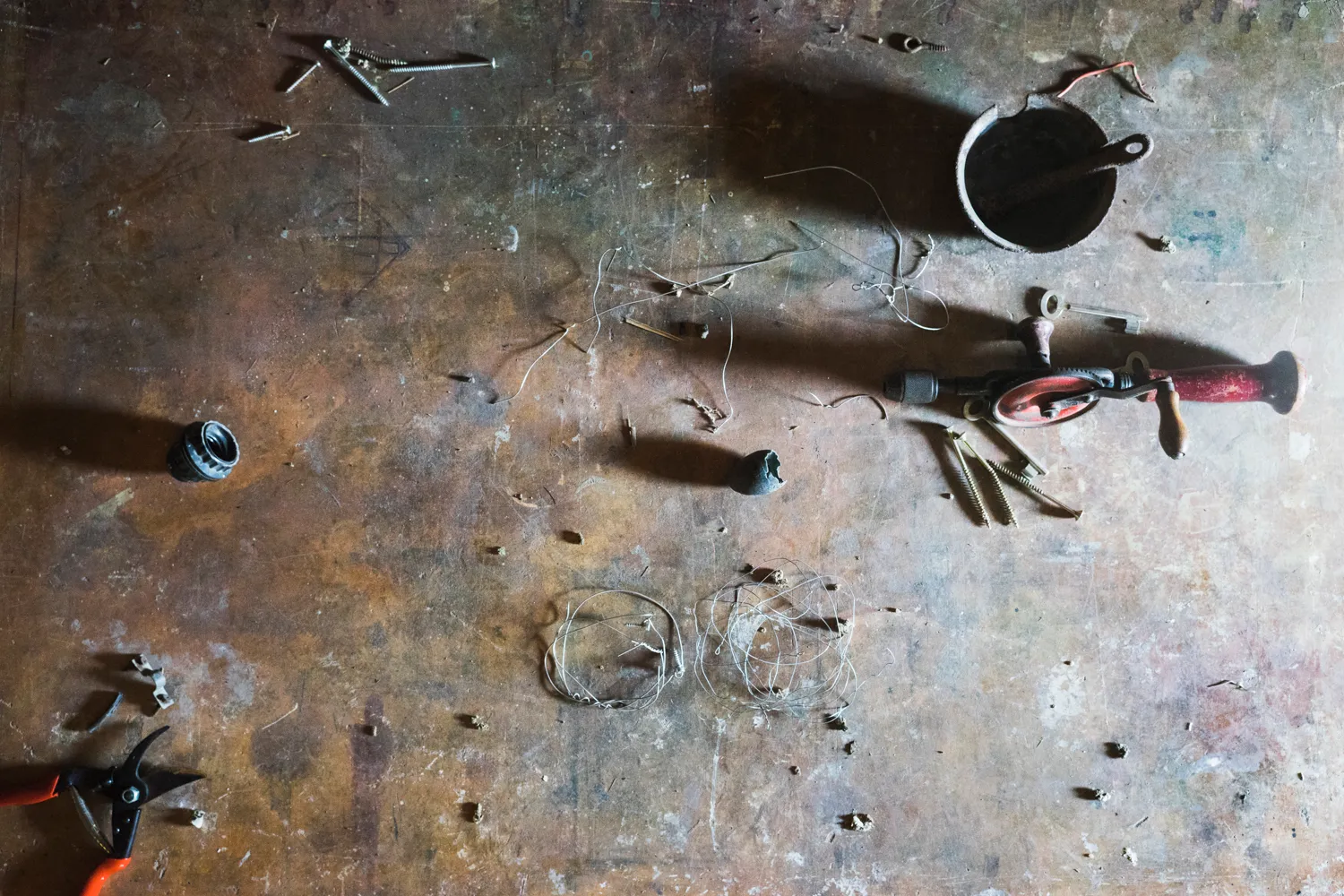 From the series "Vom Affen und vom Pfau"