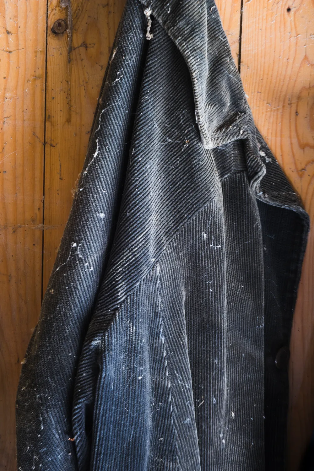 From the series "Vom Affen und vom Pfau"