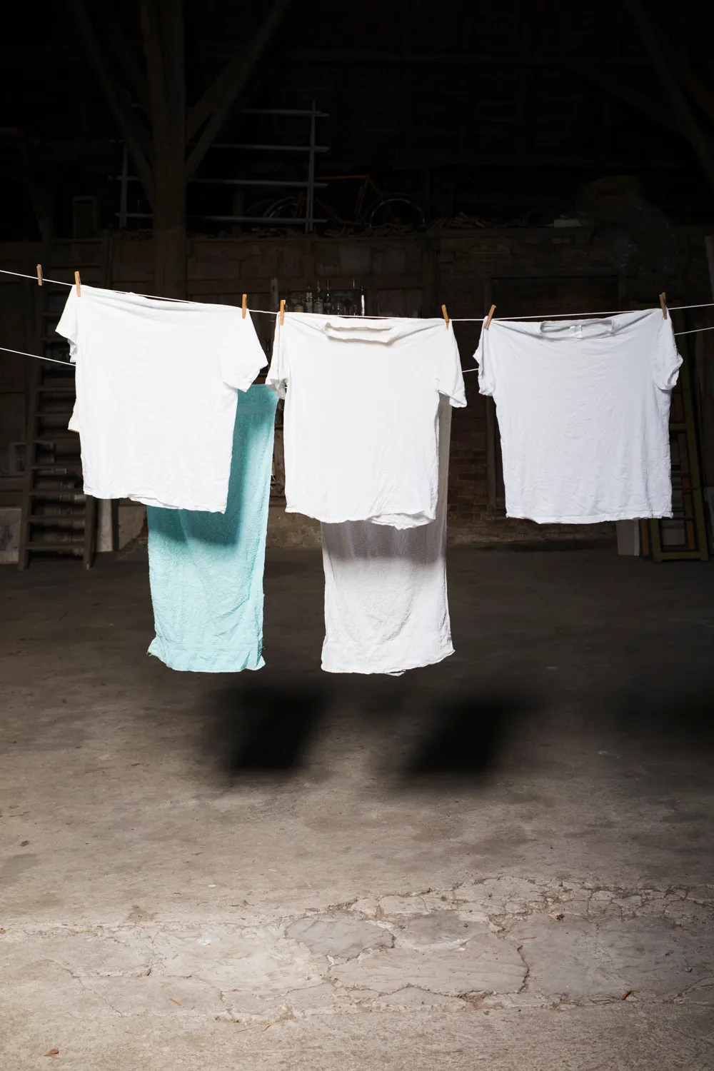 From the series "Vom Affen und vom Pfau"