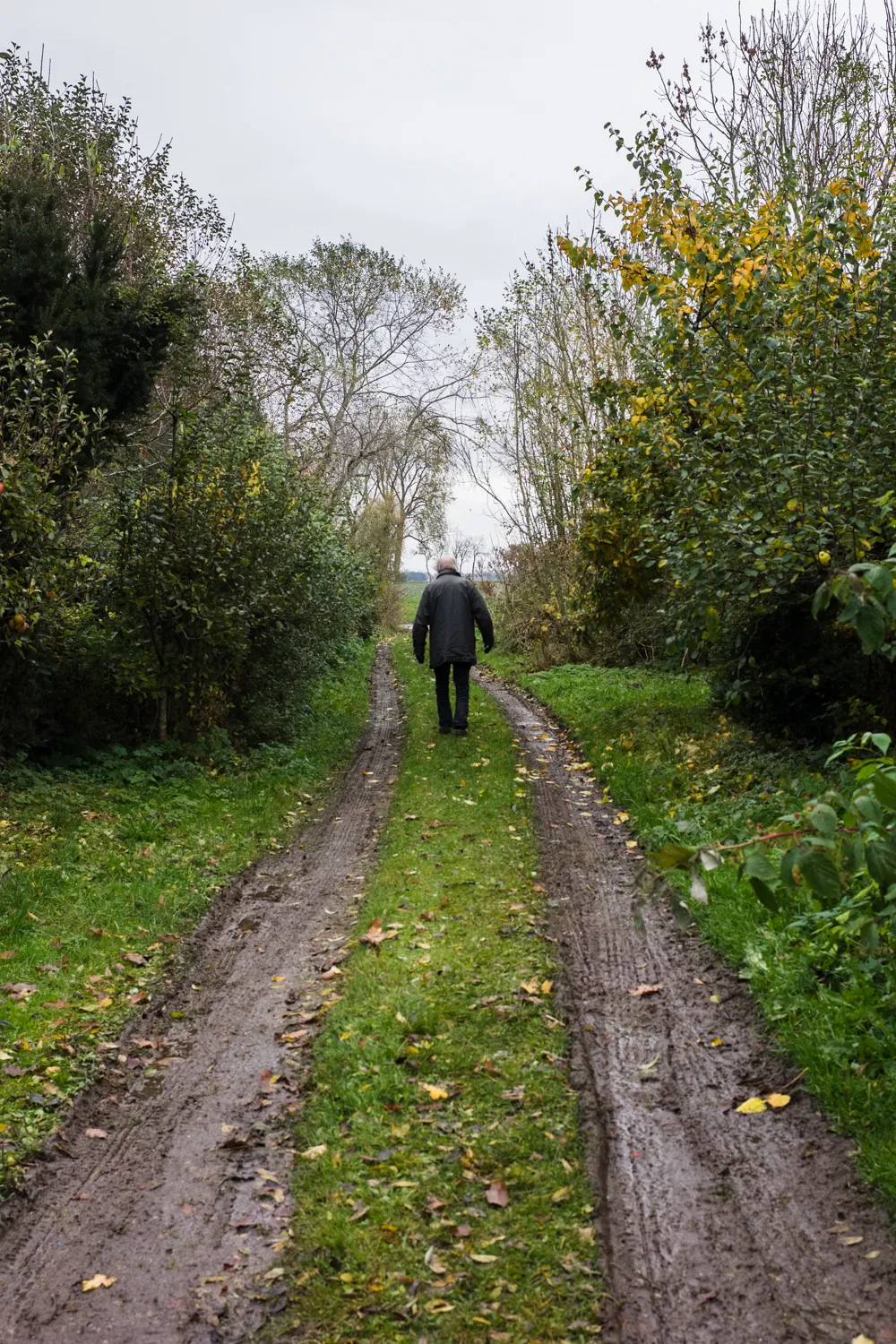 From the series "Vom Affen und vom Pfau"